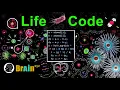 Create Life From a Simple Rule
