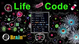 Create Life From a Simple Rule