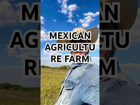 My Agriculture Land in Mexico