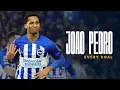 Download Lagu Every Joao Pedro Goal | Brighton \u0026 Hove Albion