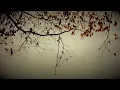 William Basinski - Disintegration Loop d|p 2.1