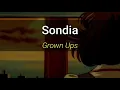 Download Lagu Sondia 'grown ups'/adult sub indo (ost my mister)(lirik dan terjemahan)