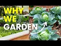 Why I Garden Discover The Joys Of Gardening BEAR X BANISH 420 CROSSBOW