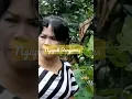 Download Lagu ngapak Banyumas