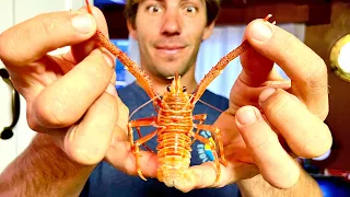 Can You Eat These? (normally bycatch) “Squat Lobster”