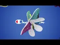 Payless - Champion Shoes