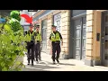 Download Lagu Bosjesmangrap: Politie schrikt van camouflageboom