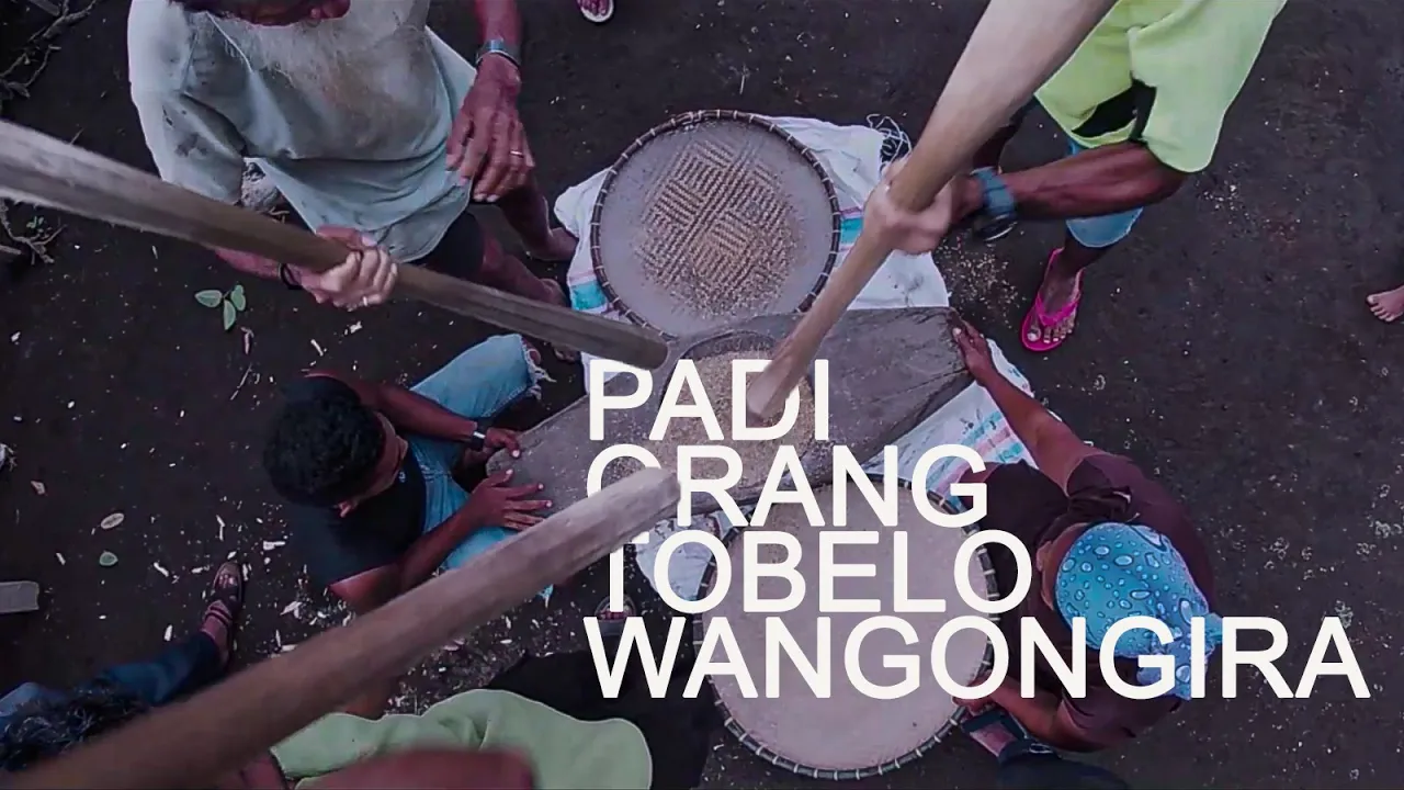 PADI (ORANG TOBELO) WANGONGIRA PADI (ORANG TOBELO) WANGONGIRA