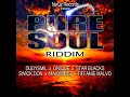 Pure Soul Riddim Mix Full Feat Tiffanie Malvo Dudsymil Swick Don March 2019