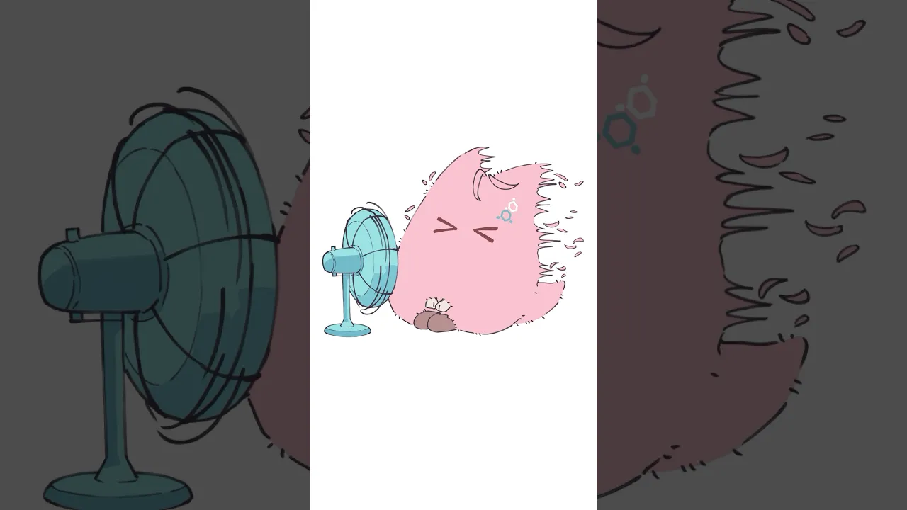 可愛いもふもふなコヨーテ「もふこよ」が扇風機で涼んだ結果 #shorts #anime #ホロライブ #hololive #博衣こより