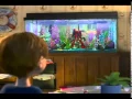 Finding Nemo recorded and recreated