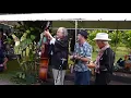 Peter Rowan, Ridin' that Midnight Train