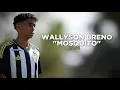 Download Lagu Wallyson Breno \