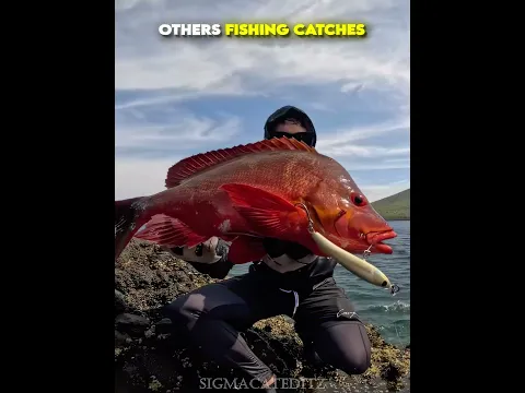 Crazy fishing 💀 #edit #troll #trollface