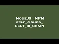 NodeJS NPM self - signed