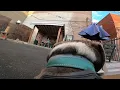 Pancake Goes To The Vault To Hear Live Music Preformed By FolkVictorianHomestead