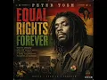 Peter Tosh – Equal Rights Forever | Official Audio