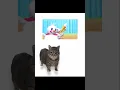 Download Lagu Uiaa uiaa aa uia uia ui #meme #funny #memesdaily #memes#cat #catmemes #catvideos #catshorts #elgato