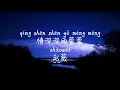 【情深深雨濛濛-赵薇 】QING SHEN SHEN YU MENG MENG-ZHAO WEI /TIKTOK,抖音,틱톡/Pinyin Lyrics, 拼音歌词, 병음가사/No AD, 无广告