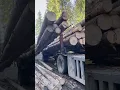 An Unconventional but Effective Log Self Loading Method Using a Cable System