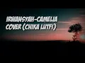 Download Lagu Chika Lutfi- Camelia(Irwansyah)music lyric 🎶.