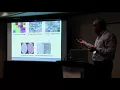 Visualizing Deep Learning Activations for Improved Malaria Cell Classification