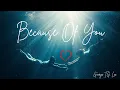 Download Lagu BECAUSE OF YOU (Original song ) by George T G Lee
