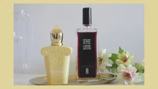 مشتريات جديدة من عطور النيش زيرجوف كازاموراتي فيوري دي أوليفو سيرجي لوتينز لا في دي برلين عطر 