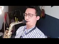 Download Lagu Runtuh - Feby Putri Feat. Fiersa Besari (Saxophone Cover by Dori Wirawan)