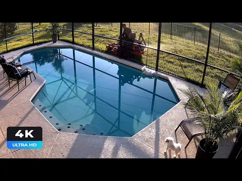Reolink Captures: Dog Fell into the Pool (4K)