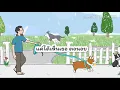 (เนื้อเพลง) เหมาะสม (Perfect Match) - MEAN