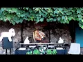 Download Lagu Techno Chickens - Lysa Chain Outdoor dj set