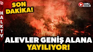 #CANLI | Antalya’nın Aksu ilçesindeki orman yangınına ekiplerin müdahalesi sürüyor!