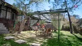 محمود الشاعري اليحبك صعبه يتعوض 