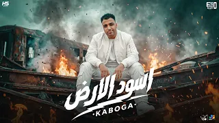 اسود الارض   اسلام كابونجا الدبابه   توزيع فيجو الدخلاوي   مهرجانات      دندنها