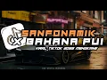 DJ SANFONAMIK X BAHANA PUII SLOWED REVERB VIRAL TIKTOK MENGKANE| YOVA FVNKY