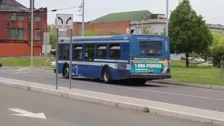 Greater Bridgeport Transit Authority GBTA New Flyer Gillig Bus Action Bridgeport Transit Ctr