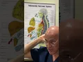 Say Goodbye to Headaches Dr Mandell