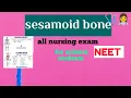 sesamoid bone bones human anatomy types of bones all nursing exams sesamoid bones irregular bone