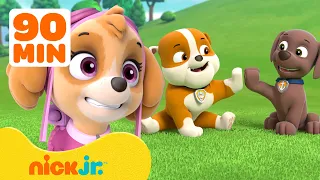 PAW Patrol | 90 Minuten PAW Patrol-Welpen als BESTE Freunde! 🐶 mit Rubble | Nick Jr. Deutschland