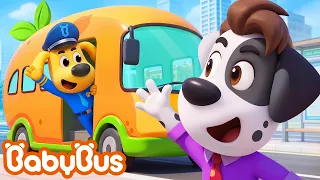 Hoa ngứa ngáy | Đội cảnh sát đi tuần tập 03 | Hoạt hình cảnh sát trưởng Labrador | BabyBus