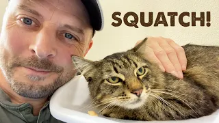 First Vet Visit for Stray Cat