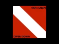 Download Lagu Van Halen- Dancing In The Street