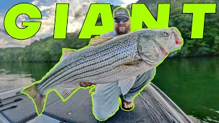 Fall Bass Fishing! Plus Giant Striped Bass On Glide Baits!