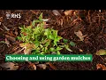 Choosing and using garden mulches The RHS