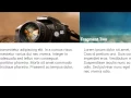 Android Code View Pager with Fragment