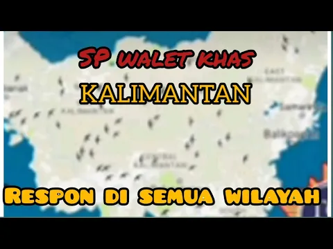 Download MP3 SP walet Khas Kalimantan, original. dijamin pasti respon