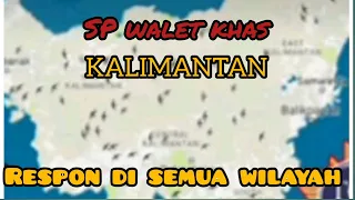 SP walet Khas Kalimantan, original. dijamin pasti respon