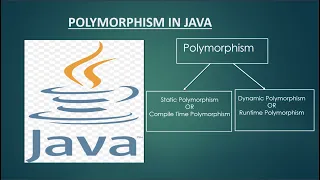 Polymorphism in Java Explained Simply for Beginners and Experts Dynamic Behavior