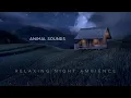 ANIMAL SOUNDS AT NIGHT | SOUNDS FOR SLEEPING RICE FIELD VILLAGE.